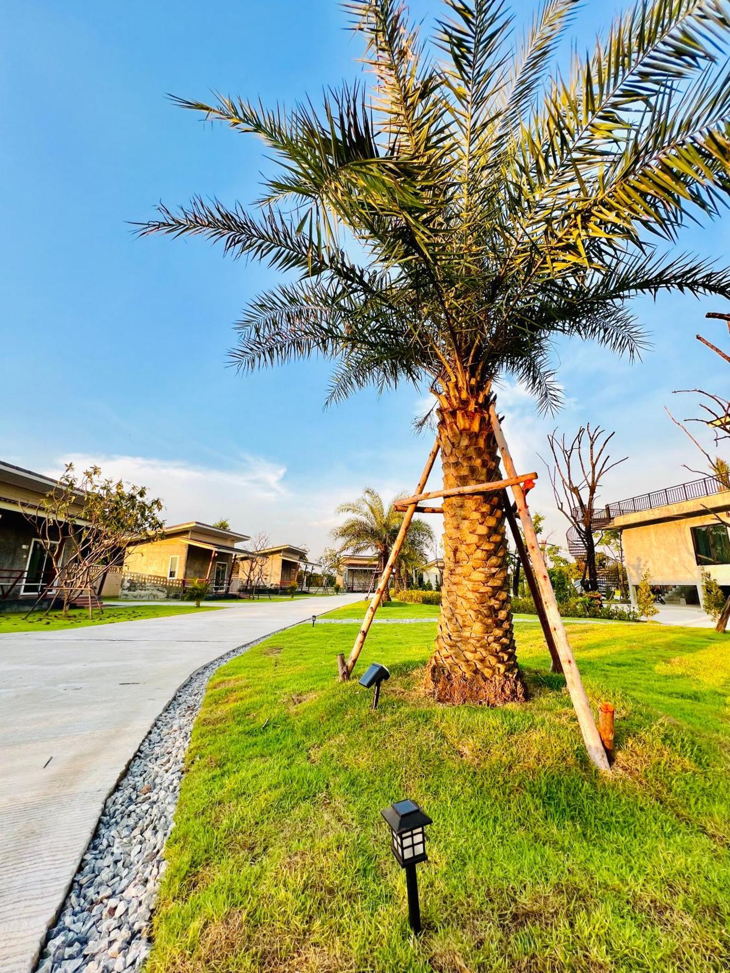 Farm View Resort @Uthai Thani ฟาร์มวิว รีสอร์ท อุทัยธานี Nong Khayang Buitenkant foto